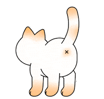 Cat Fun Sticker