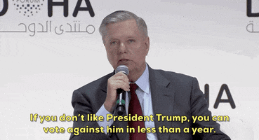 Lindsey Graham Impeachment GIF by GIPHY News