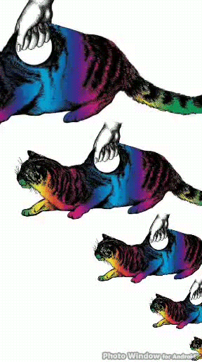never-ending cat GIF by RetroCollage