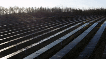 BantamCommunications virginia solarenergy cleanenergy solarpanels GIF