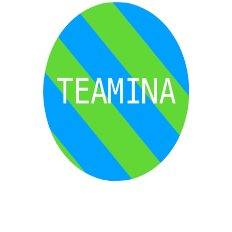Teamina Sticker
