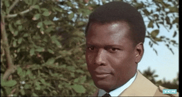 Sidney Poitier Wink GIF by Turner Classic Movies