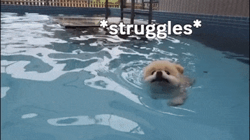 Struggle Struggling GIF by WoofWaggers