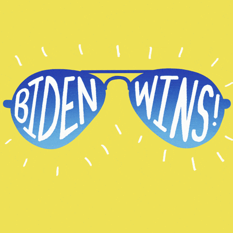 Election 2020 Sunglasses