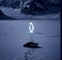 Penguin GIF