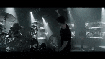 tammy  GIF