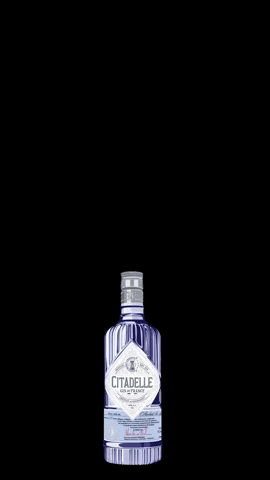Bottle Gin GIF by Maison Ferrand