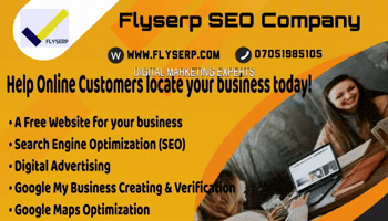 Seo Expert GIF