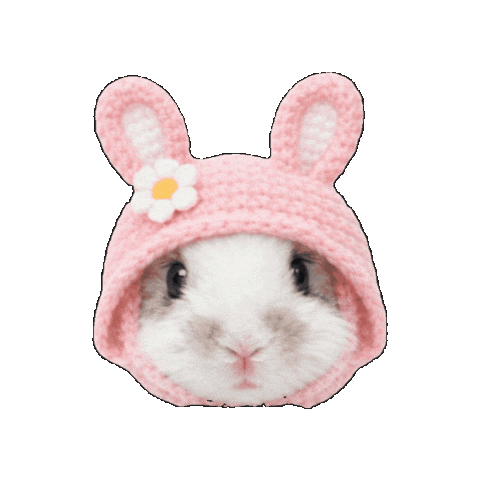 Rabbit うさぎ Sticker