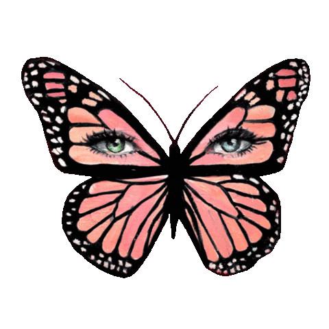 3D Butterfly Sticker by Cavan Infante