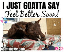Sick Get Well GIF by Goatta Be Me Goats! Adventures of Pumpkin, Cookie and Java!