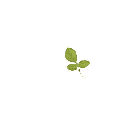 Animated Sticker