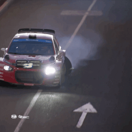 Never Give Up Wheel GIF by FIA European Rally Championship