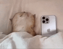 Morning GIF by DJ CHIMO BAYO