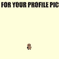 Featured image of post Profile Pictures Meme Pfp For Discord