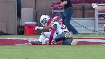 Stanford Football Celebration GIF by Pac-12 Network