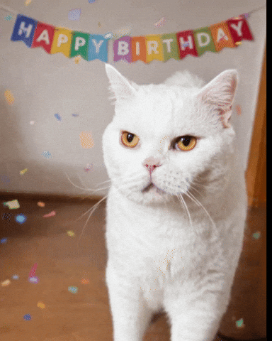 Purrcival GIF