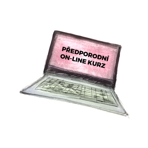 BUDE NÁS VÍC Sticker