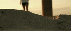 Summer Beach GIF