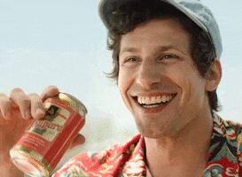 Andy Samberg GIF by HULU