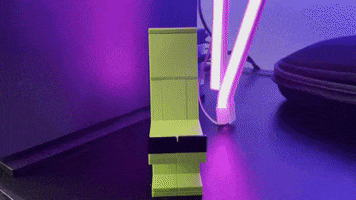 Amiedd GIF