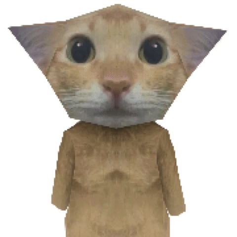 Cat GIF