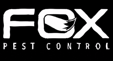 foxpc fox d2d pestcontrol d2dsales GIF