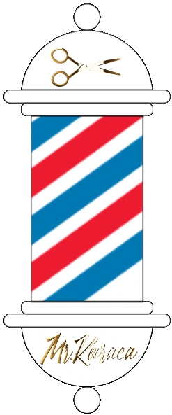 Mr Karaca Sticker by Isin Karaca