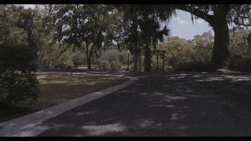 Drive Away Too Late GIF by Dualist