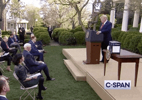 Blowing Away Donald Trump GIF by GIPHY News