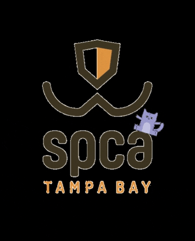 Largo GIF by SPCA Tampa Bay