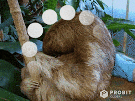 Comedic-timing GIF