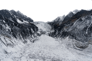 Thecollagetherapy Sticker by DIMENTIA