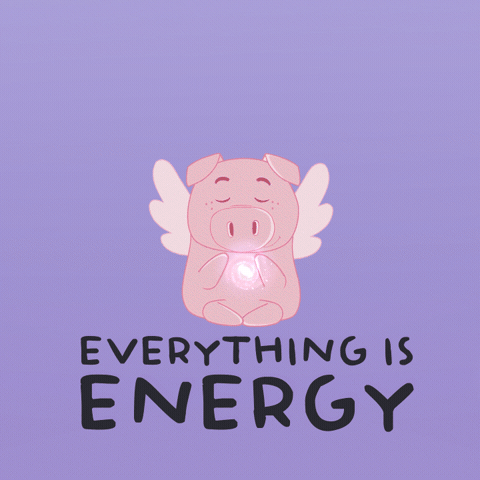 I Believe Flying Pig GIF by PositivelyPigasus