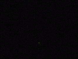 Dark GIF