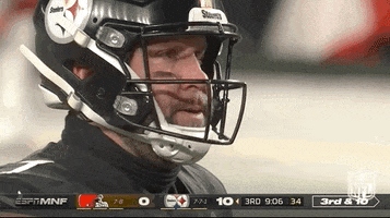 Pittsburgh Steelers No GIF by NFL