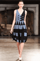 200.gif?cid=fc005b08579e9e564312d87a92919da7fd5702fee17e8228&rid=200.gif&ct=g