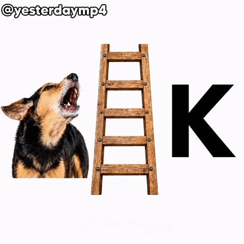 Dog K GIF