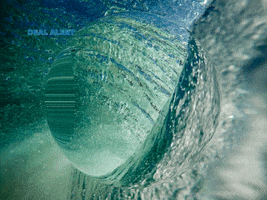 200.gif?cid=fc005b088498d7e8cfae9d5fdfda653eb2968a79c6ffc7e5&rid=200.gif&ct=g