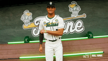College Baseball Banks GIF by GreenWave