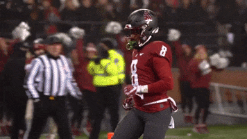 GIF by WSUFootball