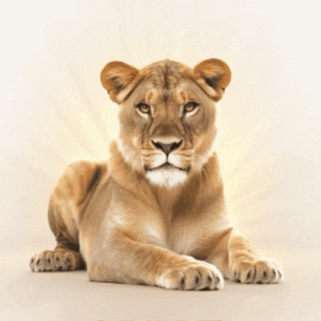 Hear Me Roar Strong Woman GIF