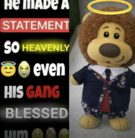 He Made A Statement GIF by colegioroth