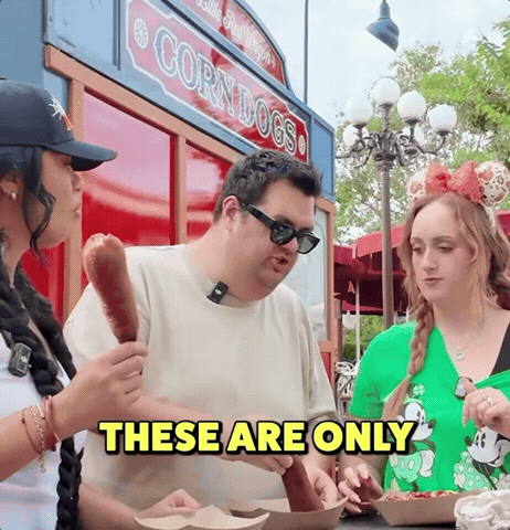 Theme Park Disney GIF