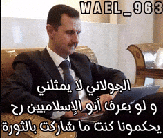 Wael GIF