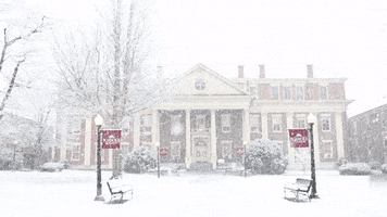 Winter Snowing GIF by Roanoke College