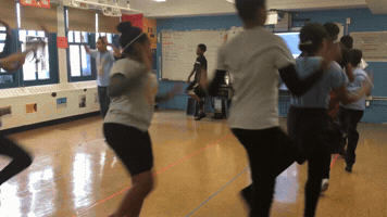 shubasu  GIF