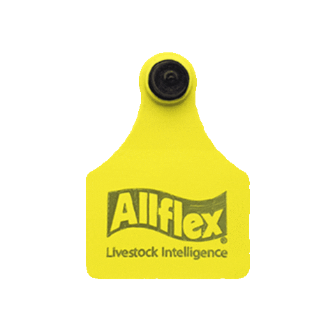 Allflex Brasil Sticker