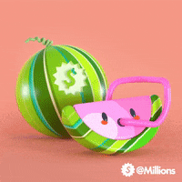 Party Summer GIF by Millions