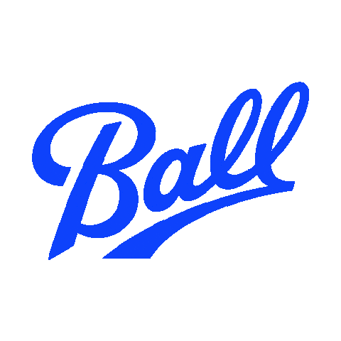 Vdl Sticker by Vadelata